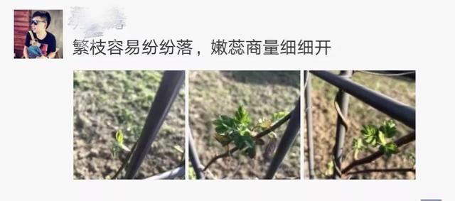 春暖花开，宜兴下周气温飙至23℃!不过，请记住