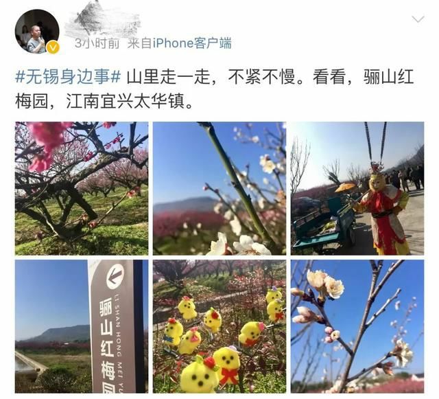 春暖花开，宜兴下周气温飙至23℃!不过，请记住