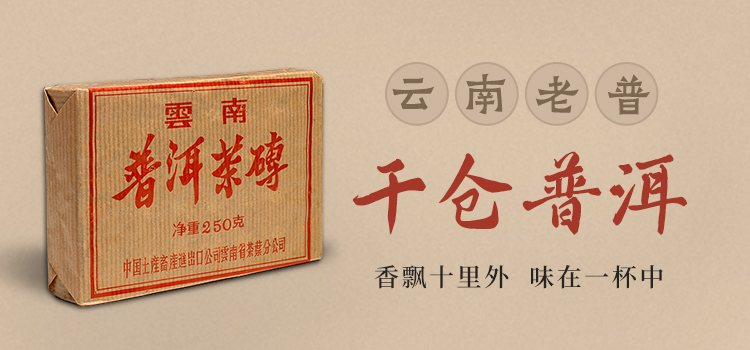 云南普洱茶砖干仓普洱