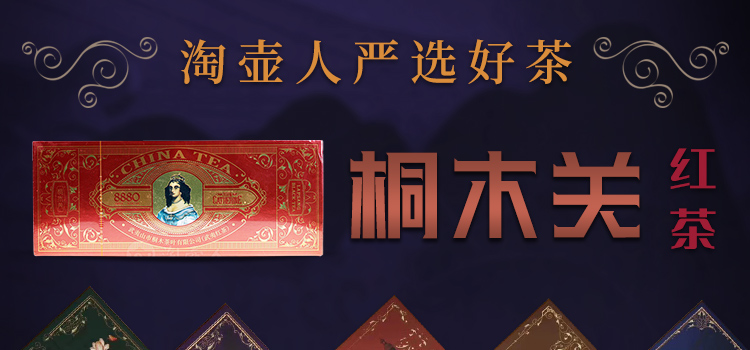 桐木关茶叶专题